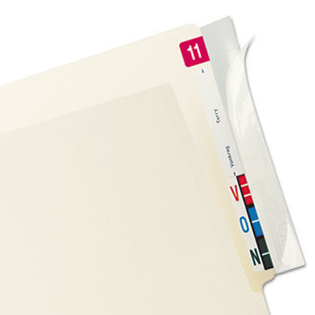 Protector, End Tab Folder, 8x2, Clear, 100/PK