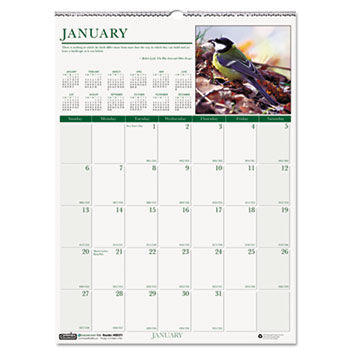 Wild Birds Monthly Wall Calendar, 12 x 12, 2014