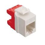 MODULE, CAT 6, HD, WHITE