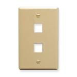 IC107F02IV - 2Port Face Ivory