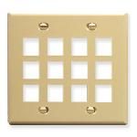 IC107F12IV - 12Port Face - Ivory