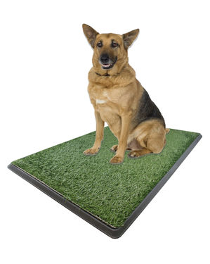 Large Potty Pad - Indoor Doggie Bathroompotty 