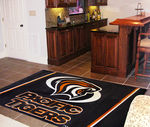 University of Toledo Rug 4x6 46""x72""