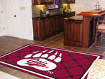 Montana Rug 5x8 60""x92""