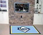 Tampa Bay Rays Rug 5x8 60""x92""