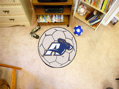 University of Akron Soccer Ballakron 