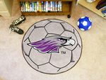 University Of Wisconsin-Whitewater Soccer Ball