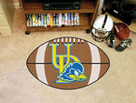 Delaware Football Rug 22""x35""