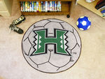 University of Hawaii Soccer Ball