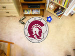 University of Arkansas-Little Rock Soccer Ball