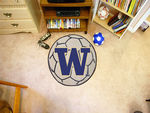 University of Washington Soccer Ball