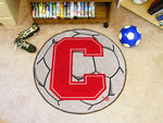 Cornell University Soccer Ball