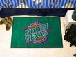 North Texas Starter Rug 2x3