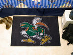 Miami Starter Rug 20""x30""