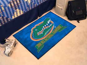 Florida Starter Rug 2x3florida 